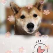 茜そら おはようございにゃす🐱🐾 アラフォーna奥様 アラフィフna奥様（埼玉ハレ系）