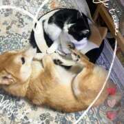 ヒメ日記 2026/02/27 06:53 投稿 茜そら アラフォーna奥様 アラフィフna奥様（埼玉ハレ系）