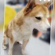 ヒメ日記 2026/03/04 06:30 投稿 茜そら アラフォーna奥様 アラフィフna奥様（埼玉ハレ系）