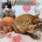 ヒメ日記 2026/03/05 06:26 投稿 茜そら アラフォーna奥様 アラフィフna奥様（埼玉ハレ系）