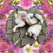 ヒメ日記 2026/03/06 06:31 投稿 茜そら アラフォーna奥様 アラフィフna奥様（埼玉ハレ系）