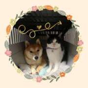 ヒメ日記 2026/03/08 09:54 投稿 茜そら アラフォーna奥様 アラフィフna奥様（埼玉ハレ系）