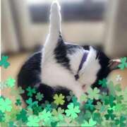 ヒメ日記 2026/03/09 06:32 投稿 茜そら アラフォーna奥様 アラフィフna奥様（埼玉ハレ系）