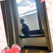 ヒメ日記 2026/03/11 09:05 投稿 茜そら アラフォーna奥様 アラフィフna奥様（埼玉ハレ系）