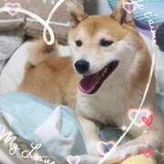 ヒメ日記 2026/03/12 06:23 投稿 茜そら アラフォーna奥様 アラフィフna奥様（埼玉ハレ系）