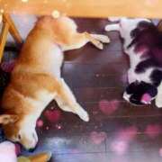 ヒメ日記 2026/03/14 06:30 投稿 茜そら アラフォーna奥様 アラフィフna奥様（埼玉ハレ系）