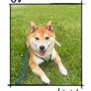 ヒメ日記 2026/03/18 07:13 投稿 茜そら アラフォーna奥様 アラフィフna奥様（埼玉ハレ系）