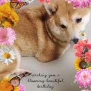 ヒメ日記 2026/03/21 07:51 投稿 茜そら アラフォーna奥様 アラフィフna奥様（埼玉ハレ系）