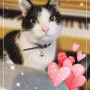 ヒメ日記 2026/03/27 06:45 投稿 茜そら アラフォーna奥様 アラフィフna奥様（埼玉ハレ系）