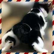 ヒメ日記 2026/03/28 06:41 投稿 茜そら アラフォーna奥様 アラフィフna奥様（埼玉ハレ系）