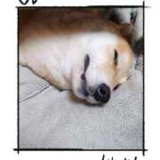 ヒメ日記 2026/03/30 06:38 投稿 茜そら アラフォーna奥様 アラフィフna奥様（埼玉ハレ系）