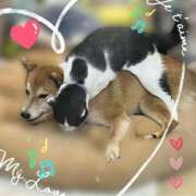 ヒメ日記 2026/04/03 06:00 投稿 茜そら アラフォーna奥様 アラフィフna奥様（埼玉ハレ系）