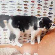 ヒメ日記 2026/04/05 07:44 投稿 茜そら アラフォーna奥様 アラフィフna奥様（埼玉ハレ系）