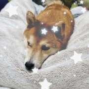 ヒメ日記 2026/04/07 06:33 投稿 茜そら アラフォーna奥様 アラフィフna奥様（埼玉ハレ系）