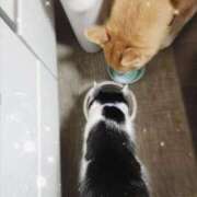 ヒメ日記 2026/04/08 06:59 投稿 茜そら アラフォーna奥様 アラフィフna奥様（埼玉ハレ系）