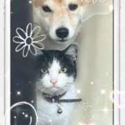 ヒメ日記 2026/04/09 06:31 投稿 茜そら アラフォーna奥様 アラフィフna奥様（埼玉ハレ系）