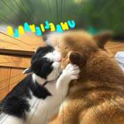 ヒメ日記 2026/04/11 06:32 投稿 茜そら アラフォーna奥様 アラフィフna奥様（埼玉ハレ系）