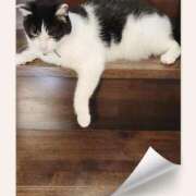 茜そら なんか溶けてる。。。(=^ェ^=) アラフォーna奥様 アラフィフna奥様（埼玉ハレ系）