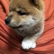 ヒメ日記 2026/04/15 09:43 投稿 茜そら アラフォーna奥様 アラフィフna奥様（埼玉ハレ系）