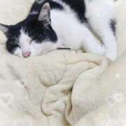 ヒメ日記 2026/04/22 07:47 投稿 茜そら アラフォーna奥様 アラフィフna奥様（埼玉ハレ系）