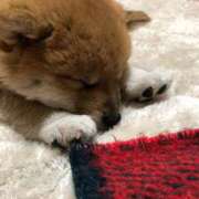 ヒメ日記 2026/08/08 06:00 投稿 茜そら アラフォーna奥様 アラフィフna奥様（埼玉ハレ系）