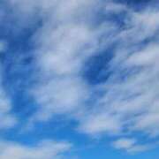 ヒメ日記 2026/01/06 08:24 投稿 白雪くらら アラフォーna奥様 アラフィフna奥様（埼玉ハレ系）