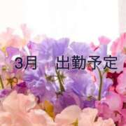 ヒメ日記 2026/02/16 19:08 投稿 藍原　しん アラフォーna奥様 アラフィフna奥様（埼玉ハレ系）