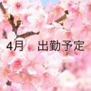 ヒメ日記 2026/03/18 21:39 投稿 藍原　しん アラフォーna奥様 アラフィフna奥様（埼玉ハレ系）