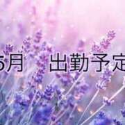 藍原　しん 5月出勤予定♡ アラフォーna奥様 アラフィフna奥様（埼玉ハレ系）