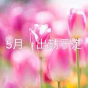 ヒメ日記 2026/05/01 22:41 投稿 藍原　しん アラフォーna奥様 アラフィフna奥様（埼玉ハレ系）