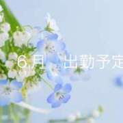 ヒメ日記 2026/05/17 08:02 投稿 藍原　しん アラフォーna奥様 アラフィフna奥様（埼玉ハレ系）