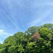 ヒメ日記 2025/06/19 23:01 投稿 与田桃子 アラフォーna奥様 アラフィフna奥様（埼玉ハレ系）