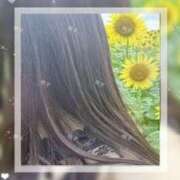 ヒメ日記 2025/08/01 22:40 投稿 与田桃子 アラフォーna奥様 アラフィフna奥様（埼玉ハレ系）