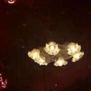 ヒメ日記 2025/10/31 23:41 投稿 与田桃子 アラフォーna奥様 アラフィフna奥様（埼玉ハレ系）