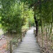 ヒメ日記 2026/02/23 08:55 投稿 柏木ななみ アラフォーna奥様 アラフィフna奥様（埼玉ハレ系）