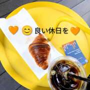 ヒメ日記 2026/03/08 10:54 投稿 岡田ゆり ワイフセレクション