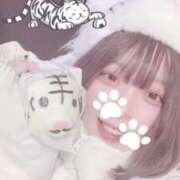 ヒメ日記 2024/12/26 17:19 投稿 しゅり 久喜鷲宮ちゃんこ