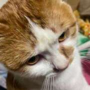 ヒメ日記 2025/01/09 22:44 投稿 しゅり 久喜鷲宮ちゃんこ