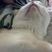 ヒメ日記 2025/01/11 21:09 投稿 しゅり 久喜鷲宮ちゃんこ