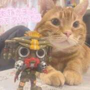 ヒメ日記 2025/02/09 21:49 投稿 しゅり 久喜鷲宮ちゃんこ