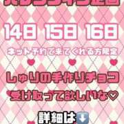 ヒメ日記 2025/02/11 15:19 投稿 しゅり 久喜鷲宮ちゃんこ