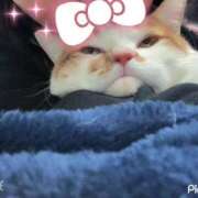 ヒメ日記 2025/02/21 23:59 投稿 しゅり 久喜鷲宮ちゃんこ