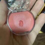 ヒメ日記 2025/03/01 14:09 投稿 しゅり 久喜鷲宮ちゃんこ