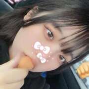 ヒメ日記 2025/04/09 14:51 投稿 しゅり 久喜鷲宮ちゃんこ