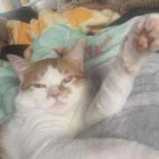 ヒメ日記 2025/04/18 17:51 投稿 しゅり 久喜鷲宮ちゃんこ