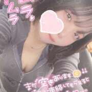 ヒメ日記 2025/05/09 15:31 投稿 しゅり 久喜鷲宮ちゃんこ