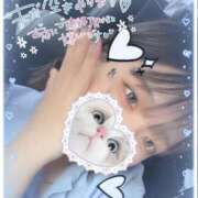 ヒメ日記 2025/05/11 15:02 投稿 しゅり 久喜鷲宮ちゃんこ