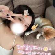 ヒメ日記 2025/05/14 14:53 投稿 しゅり 久喜鷲宮ちゃんこ