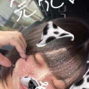 ヒメ日記 2025/05/17 17:51 投稿 しゅり 久喜鷲宮ちゃんこ