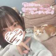 ヒメ日記 2025/05/26 18:21 投稿 しゅり 久喜鷲宮ちゃんこ